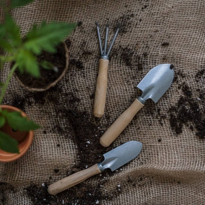 gardening tools